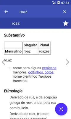 Portuguese Dictionary Offline android App screenshot 12